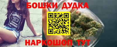 шишки Усть-Илимск